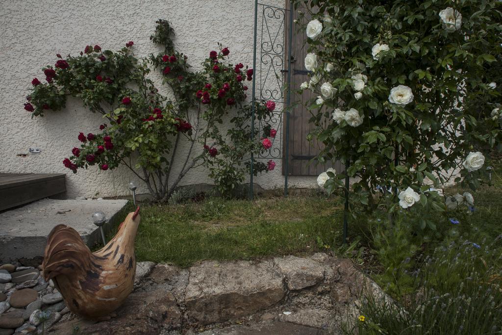 Chambre D'Hotes La Bichette Chassagny Εξωτερικό φωτογραφία