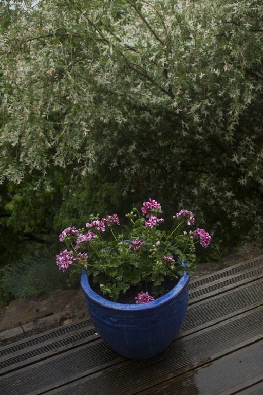 Chambre D'Hotes La Bichette Chassagny Εξωτερικό φωτογραφία